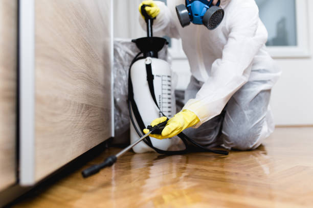 Trusted Belfast, ME Pest Control Experts