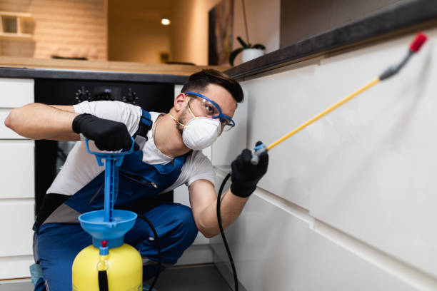 Best Bed Bug Extermination  in Belfast, ME