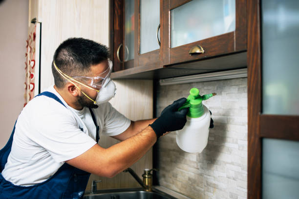Best Affordable Exterminators  in Belfast, ME