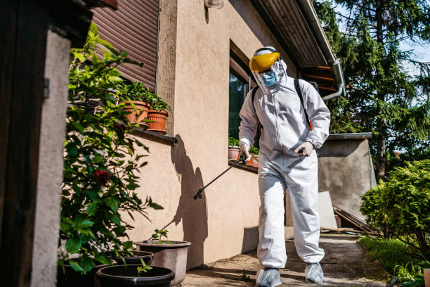 Best Termite Control Services  in Belfast, ME