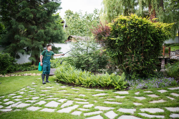 Best Affordable Pest Control Services  in Belfast, ME