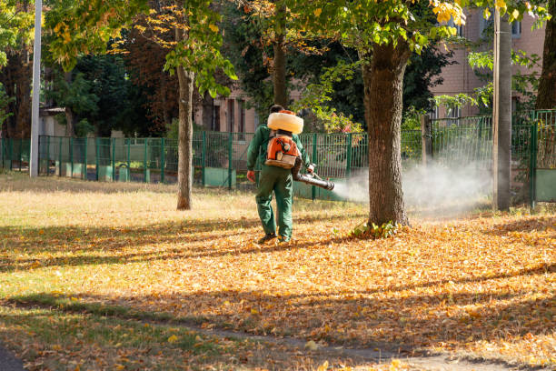 Best Mosquito Control Services  in Belfast, ME
