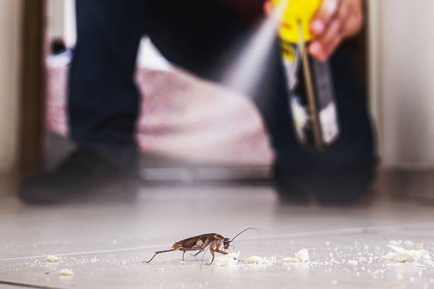 Best Pest Prevention Services  in Belfast, ME