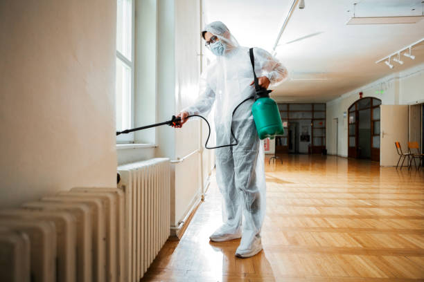Best Pest Removal Services  in Belfast, ME